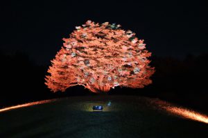 木　230929 (1 - 1)